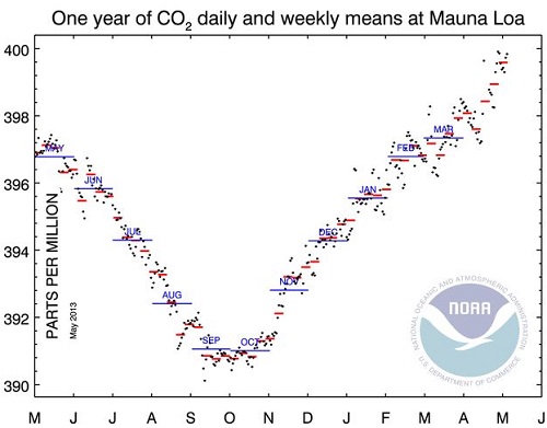 Last year daily and weekly CO2 concentrations at Mauna Loa.
