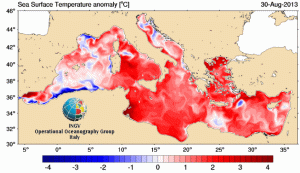 Mappa delle anomalie di temperatura superficiale del mare, ovvero la differenza tra il valore attuale e quello medio clomatico del periodo